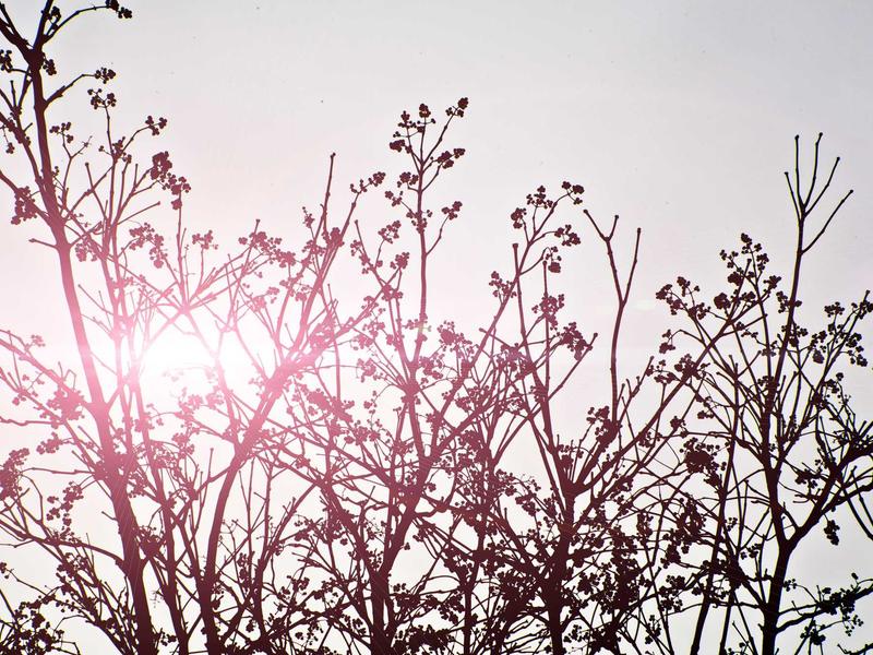 sudoku skill improvement screenshot 4